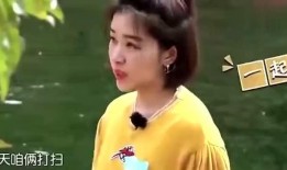 娱乐圈以前节目爆料的是谁,揭秘昔日热门明星的惊人内幕